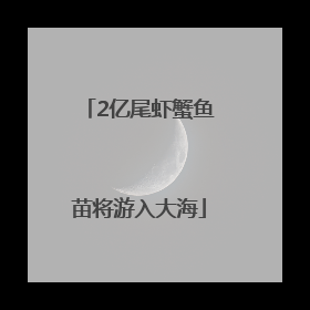 2亿尾虾蟹鱼苗将游入大海