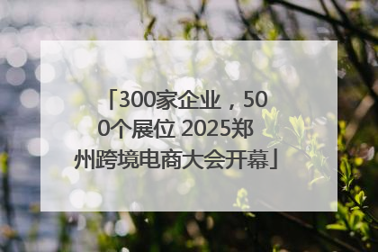 300家企业，500个展位 2025郑州跨境电商大会开幕