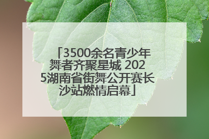 3500余名青少年舞者齐聚星城 2025湖南省街舞公开赛长沙站燃情启幕