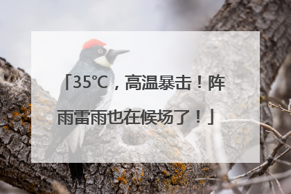 35℃，高温暴击！阵雨雷雨也在候场了！