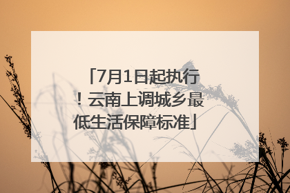 7月1日起执行！云南上调城乡最低生活保障标准