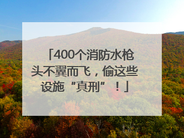 400个消防水枪头不翼而飞，偷这些设施“真刑”！