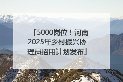 5000岗位！河南2025年乡村振兴协理员招用计划发布