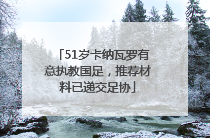 51岁卡纳瓦罗有意执教国足，推荐材料已递交足协