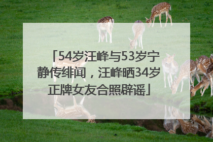 54岁汪峰与53岁宁静传绯闻，汪峰晒34岁正牌女友合照辟谣