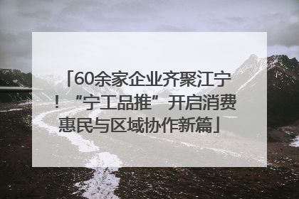 60余家企业齐聚江宁！“宁工品推”开启消费惠民与区域协作新篇