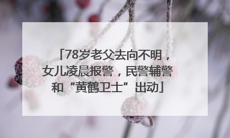 78岁老父去向不明，女儿凌晨报警，民警辅警和“黄鹤卫士”出动