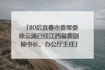 80后宜春市委常委徐云涌已任江西省委副秘书长、办公厅主任
