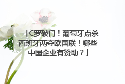 C罗破门！葡萄牙点杀西班牙两夺欧国联！哪些中国企业有赞助？