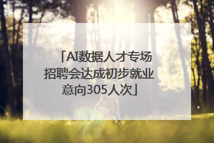 AI数据人才专场招聘会达成初步就业意向305人次
