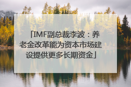 IMF副总裁李波：养老金改革能为资本市场建设提供更多长期资金
