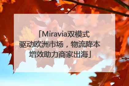 Miravia双模式驱动欧洲市场，物流降本增效助力商家出海